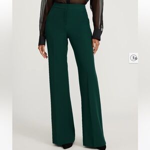 Express flare leg pant